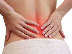 The causes of back pain in the lower back